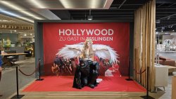 Foto aus dem Album Cosplay Foto Events Möbel Rieger Esslingen