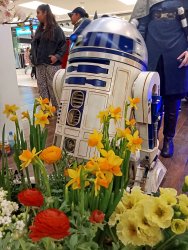 Foto aus dem Album Star Warriors + Teckploitation @ Teck-Center Kirchheim Teck