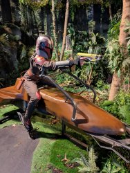 Foto aus dem Album Fans Strike Back