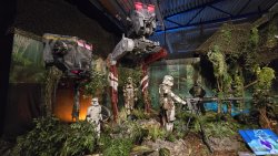 Foto aus dem Album Fans Strike Back